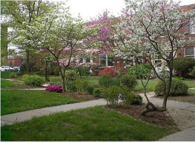 Arlington Neighborhood Village